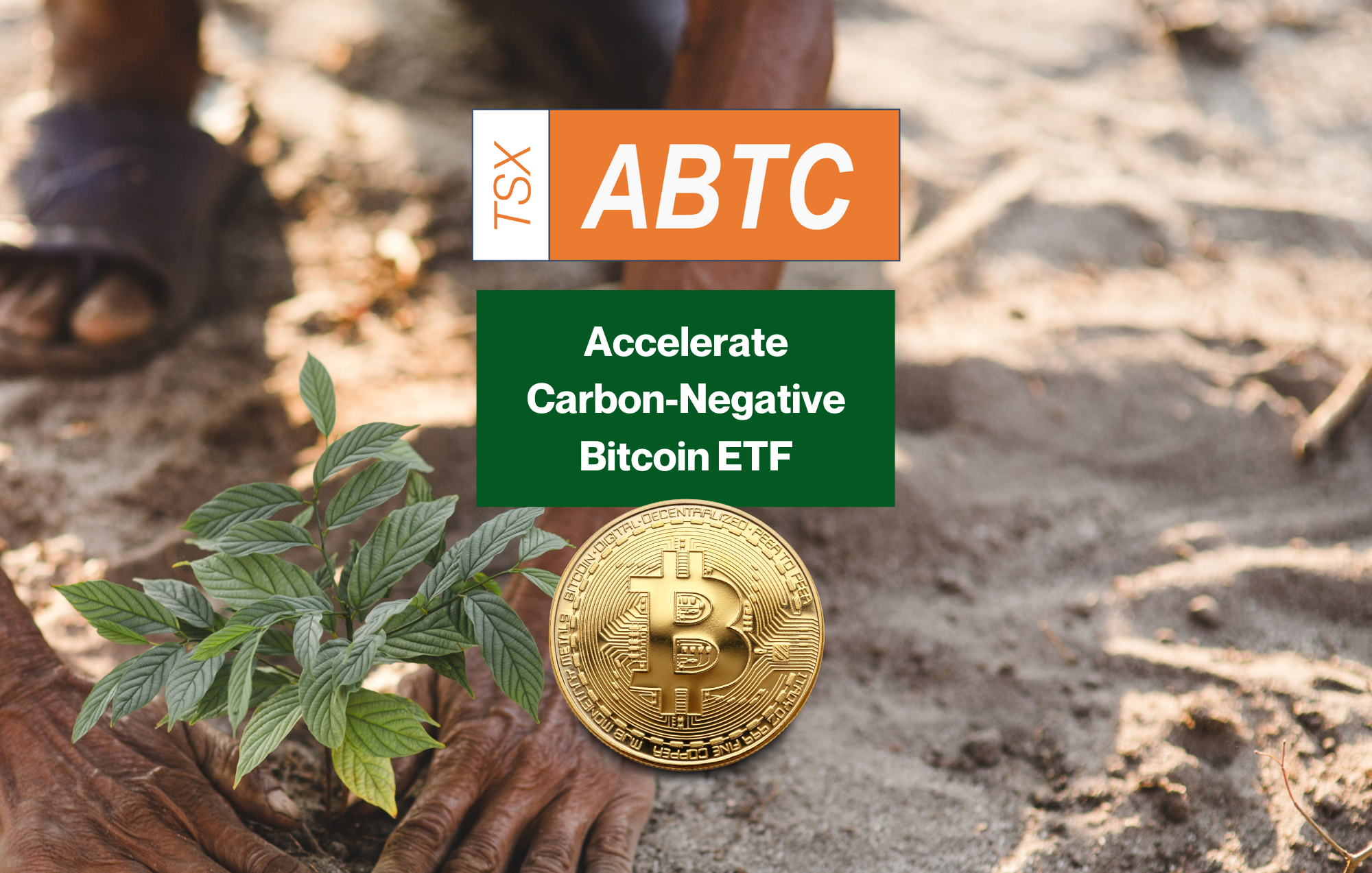 Bitcoin ETF Pledges to Reduce Carbon Footprint by Planting Trees